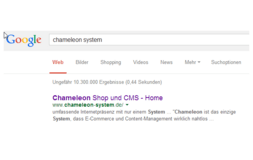 SEO, Suchmaschinenoptimierung