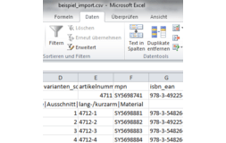 Produktdatenexport